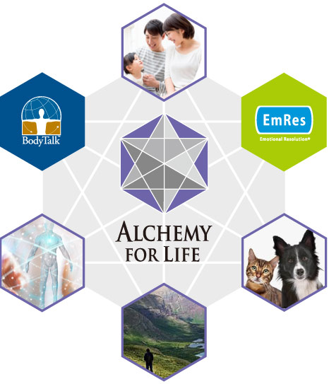 Alchemyforlife アルケミーフォーライフ株式会社 公式サイト
